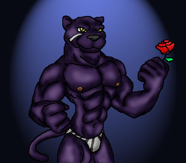 Gay Panther 55