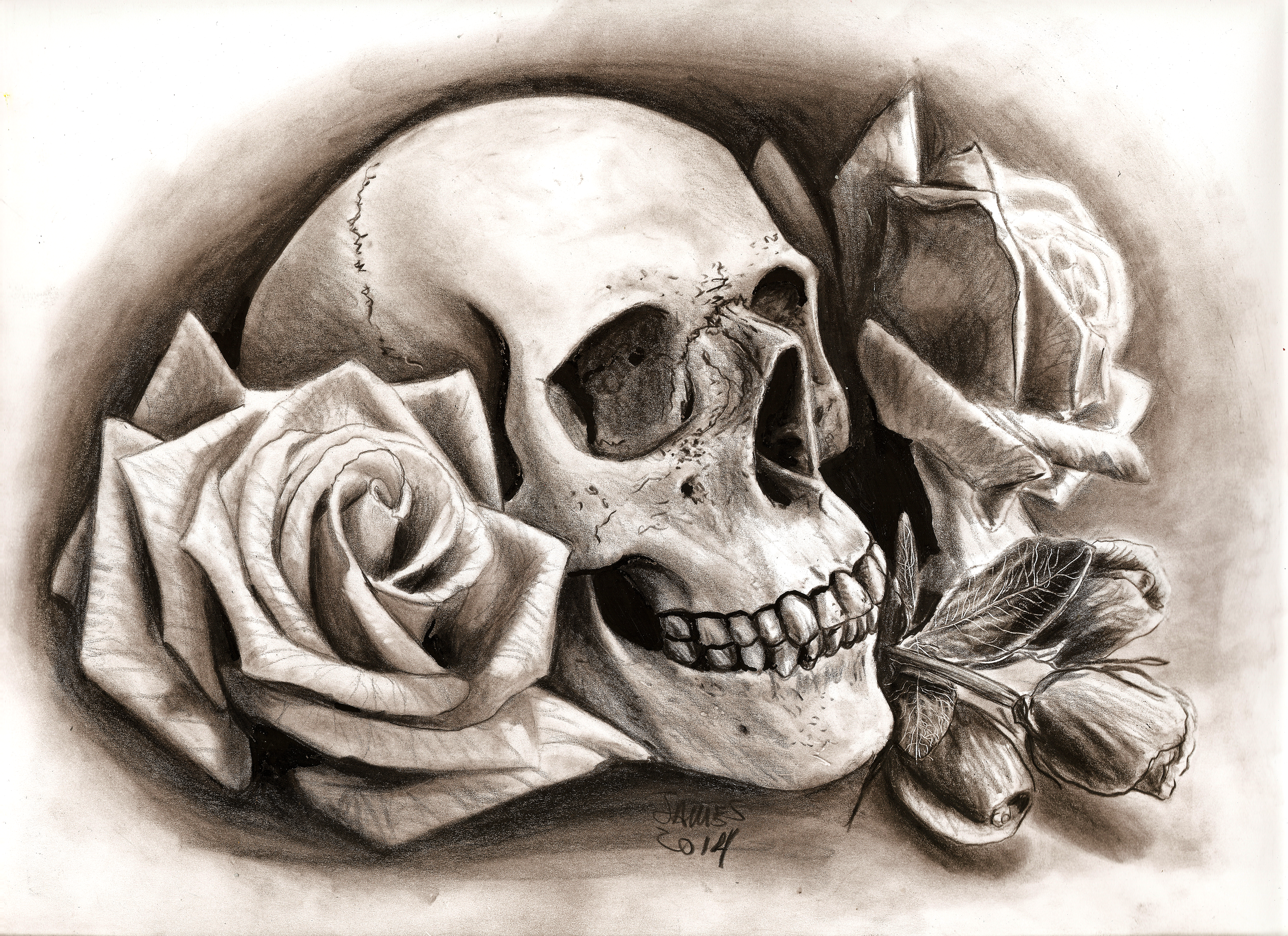 Black Roses And Skulls