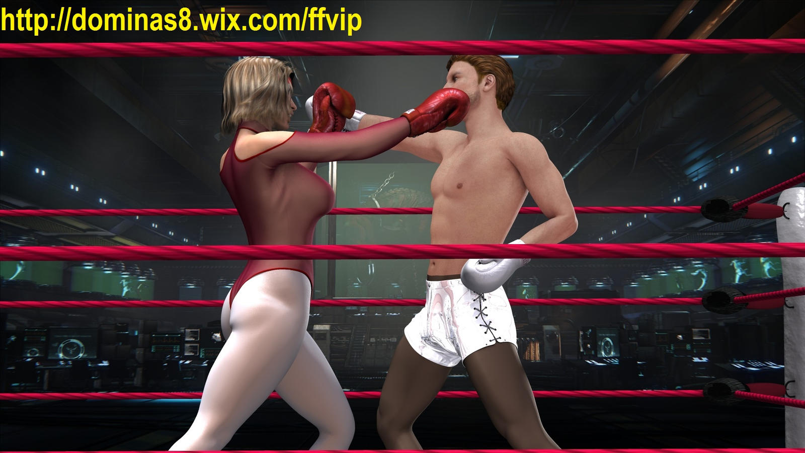 mixed_boxing_seethrough_leotard_fighting_femdom_by_q1911-d8q3yve.jpg