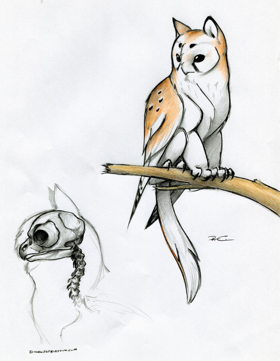 Owl griffin, Creature drawings, Mythical creatures art