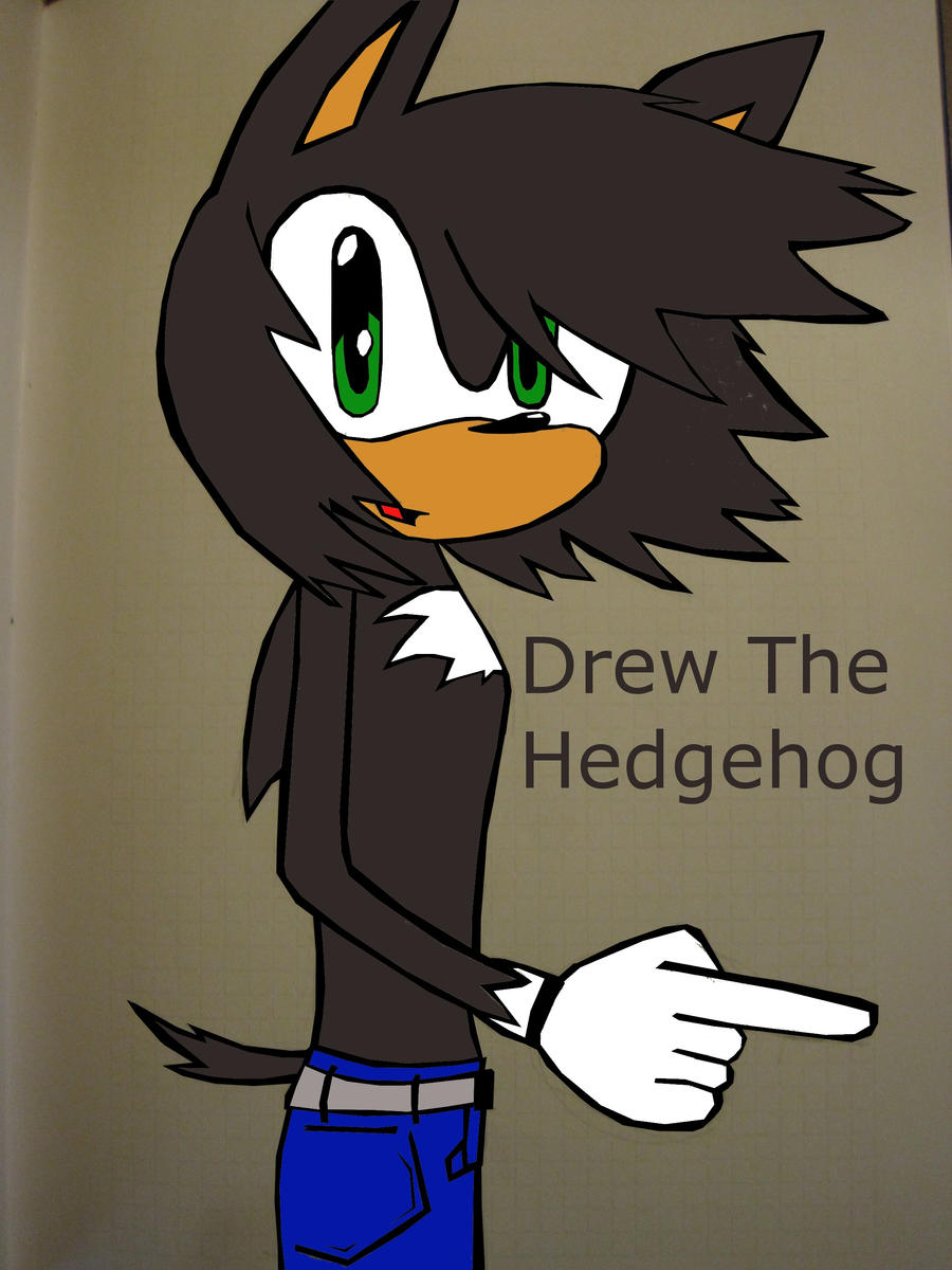 http://img10.deviantart.net/8a34/i/2011/082/7/b/drew_the_hedgehog_by_blazemiku-d3cad1w.jpg