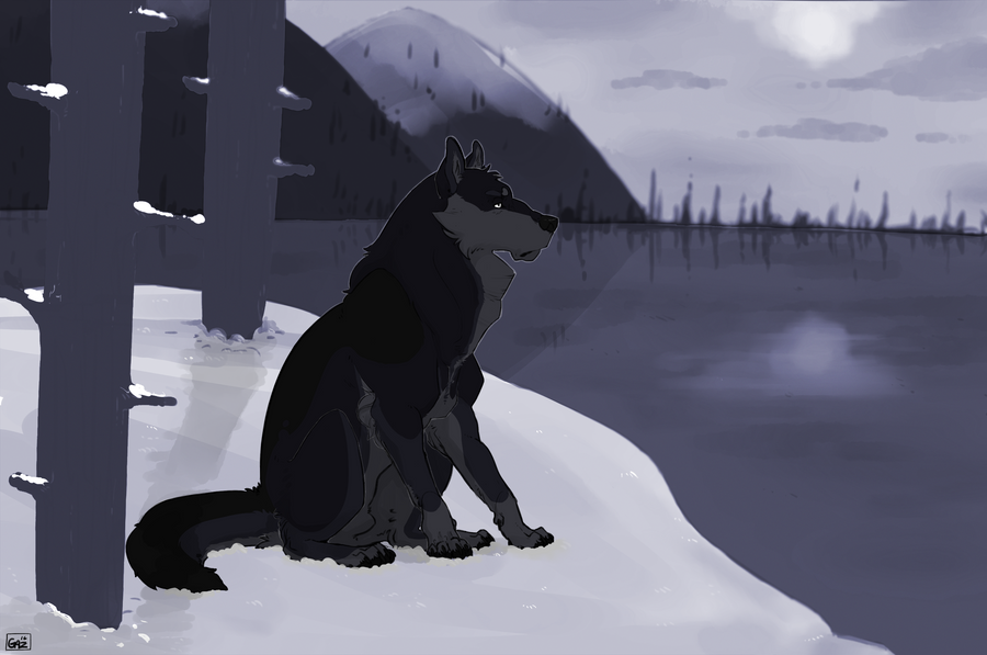 the_other_side__by_barkadeer-da96013.png
