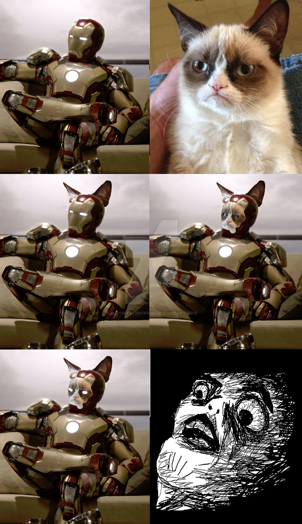 Iron Man VS Grumpy Cat by DuffmasterFresh on DeviantArt1024 x 1773