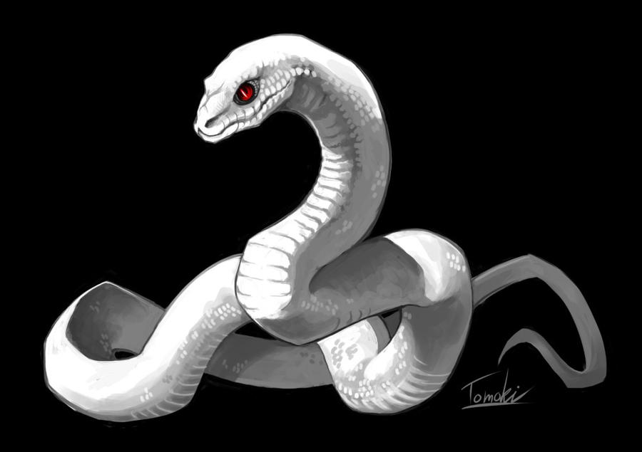 white_snake_by_tomoki17-d5oe64e.jpg